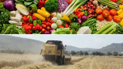 Tarım ürünlerinde fiyatlar eylülde düştü
